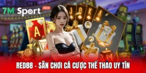 Red88 - Sân Chơi Cá Cược Thể Thao Uy Tín, Đẳng Cấp 2025 16 Red88 - Sân Chơi Cá Cược Thể Thao Uy Tín, Đẳng Cấp 2025