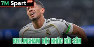 Bellingham Bật Khóc Rời Sân - Chấn Thương Gân Khoeo Nghỉ 14 Bellingham Bật Khóc Rời Sân