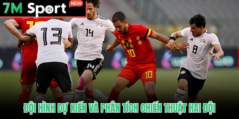 Soi Kèo Bỉ Vs Ai Cập - Nhận Định World Cup 2026 Bảng G 10 Soi kèo Bỉ vs Ai Cập từ đội hình dự kiến và thế trận chiến thuật