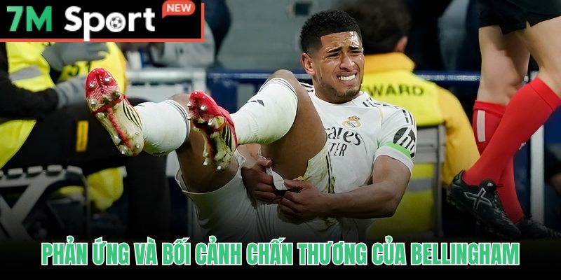 Phản ứng từ CĐV và truyền thông sau khoảnh khắc Bellingham bật khóc rời sân